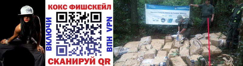 Где найти наркотики Куса COCAIN  МЕФ  Alpha-PVP  Бошки Шишки 